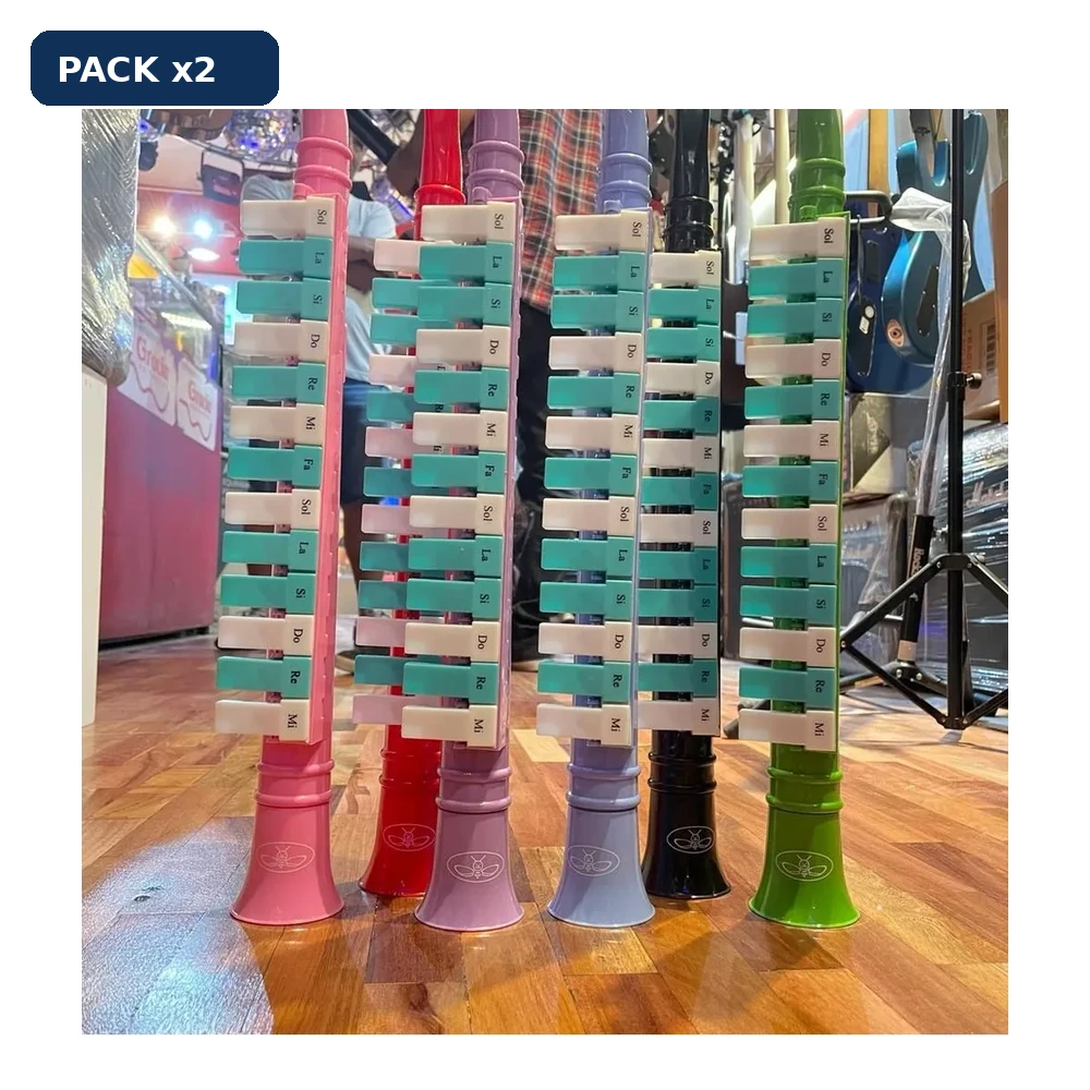 PACK x2 Flauta Melodica 13 Notas Plastico Bee 00827
